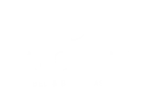 logo b&B webp